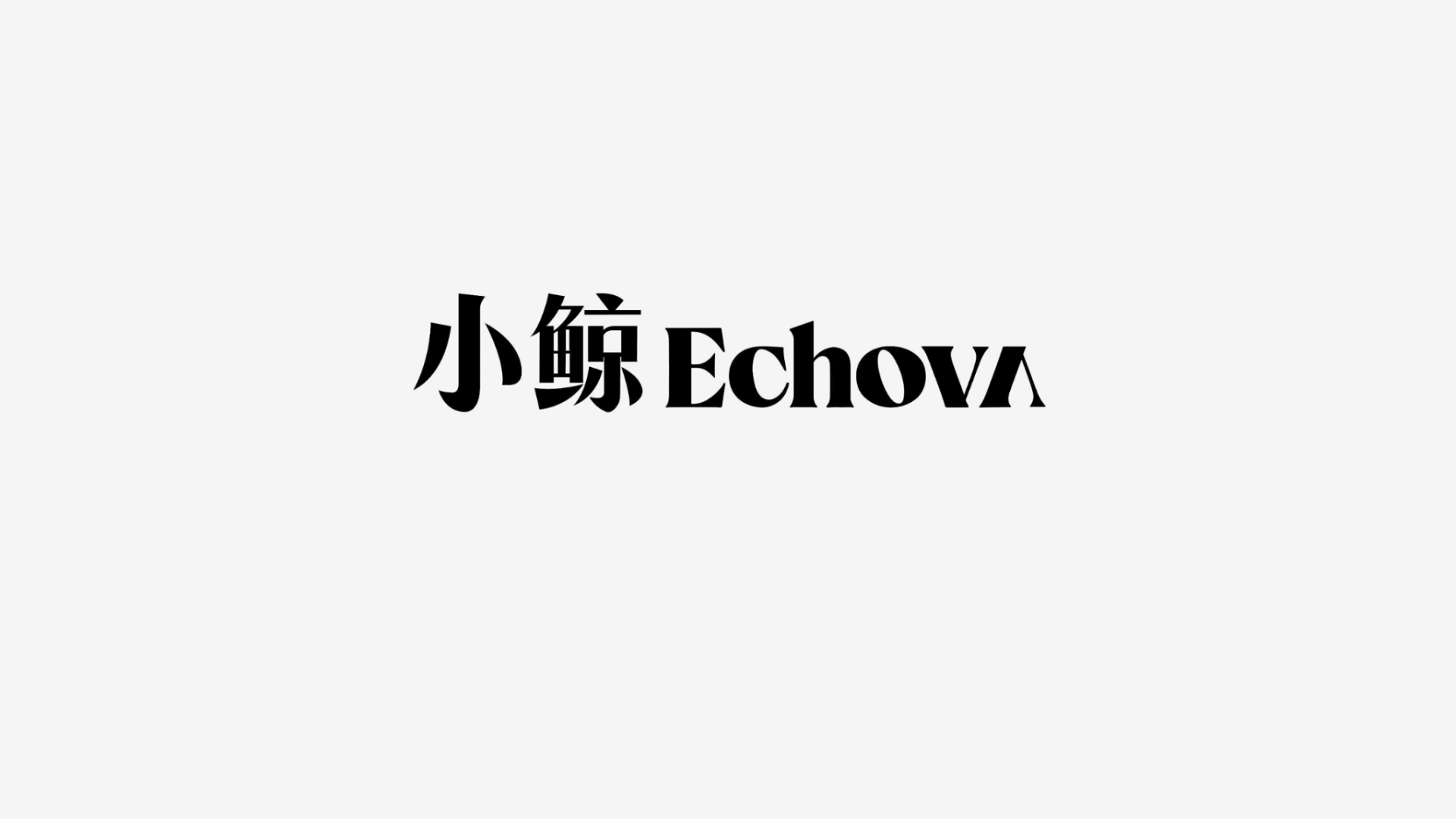 小鲸机器人